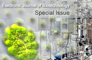 Special Issue on Process Biotechnology