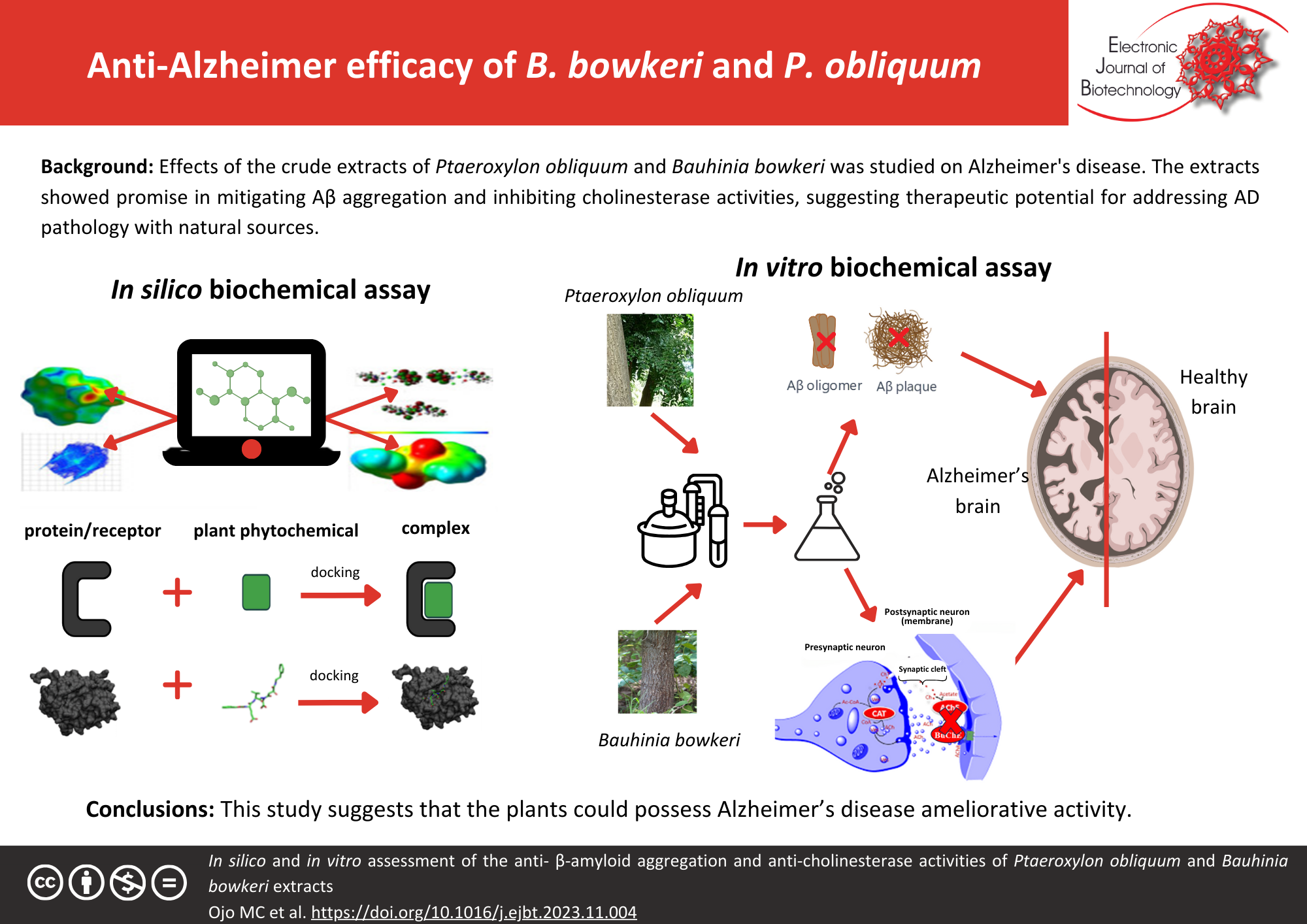 In silico and in vitro assessment of the anti-β-amyloid aggregation and anti-cholinesterase activities of Ptaeroxylon obliquum and Bauhinia bowkeri extracts